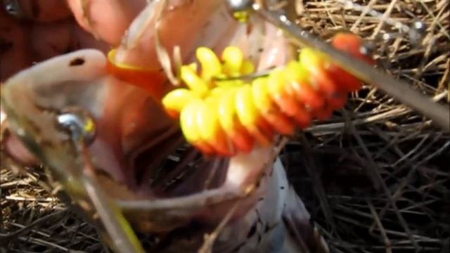 Рыбалка. Весенняя щука на спиннинг/Spring Pike Spin-fishing. Техасская оснастка/Texass Rig