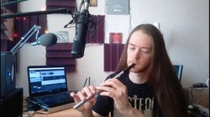 Toxicity tin whistle cover | Lindar Music