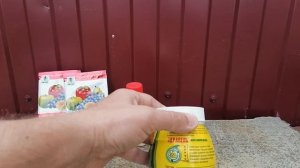ПЕРВАЯ и ОЧЕНЬ ВАЖНАЯ обработка винограда по 5-ому листу. Какие препараты для этого использовать?!
