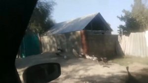 Поездка в Киргизию отдых ТОКМОК и родное село МТФ