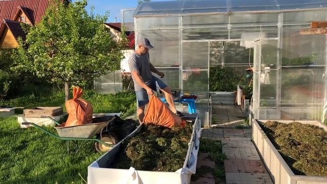 Где взять траву для мульчи, если её нет на участке? смотреть онлайн