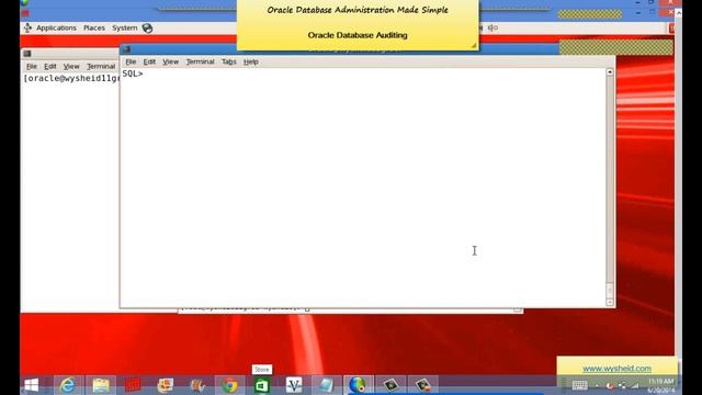 Oracle Database Audit  Concepts | Oracle database security | Security in Oracle 11g Database