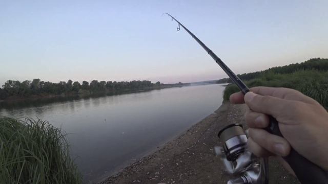 Утренняя рыбалка по жереху. Ока. Июль. Выходы, преследования, сходы. смотреть онлайн