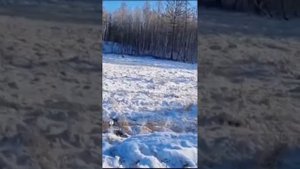 Два дебила утопили УАЗ