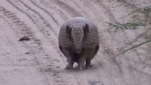 Спрятался!!! смотреть онлайн