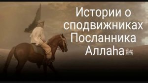 Истории сподвижников Пророка Мухаммада ﷺ