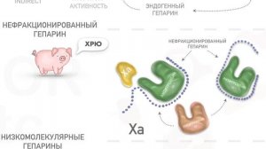 Нефракционированный гепарин. Низкомолекулярные гепарины. Фондапаринукс.