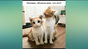 Смешные Приколы Про Школу! Когда горит школа! На фото я смеюсь!