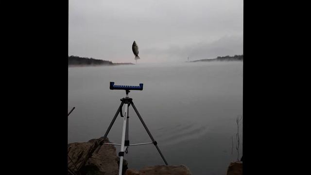 рыбалка на водохранилище ЮУАЭС