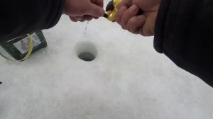 ПОИМКА ФОРЕЛИ НА СТОЯЧУЮ РЕЗИНУ (МАГОТ)