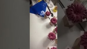 ❇️?Зефирные георгины?❇️ от Амины Эскиевой