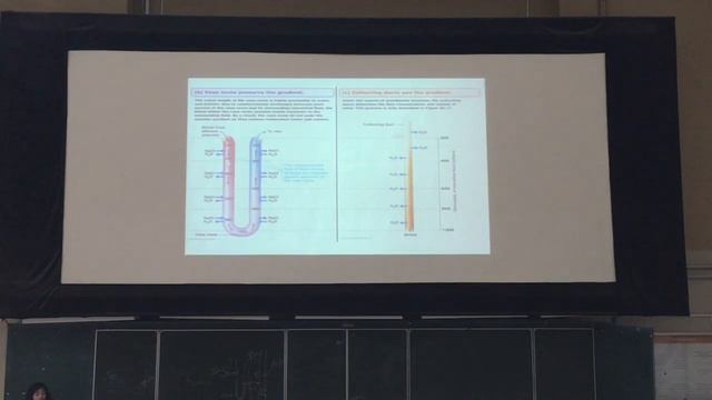 Физиология почек Ч2