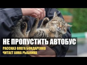 Большой старый кот сидел на автобусной остановке. И лишь одна маленькая девочка его заметила