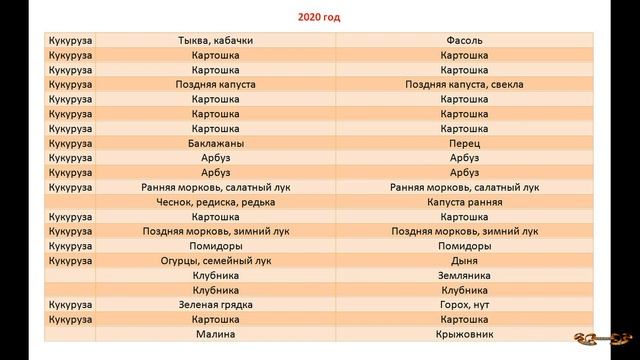 Севооборот овощей. Мои узкие грядки и как я делаю на них севооборот - таблицы смотреть онлайн
