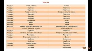 Севооборот овощей. Мои узкие грядки и как я делаю на них севооборот - таблицы