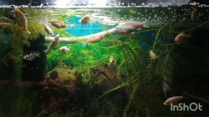 5 минут релакса