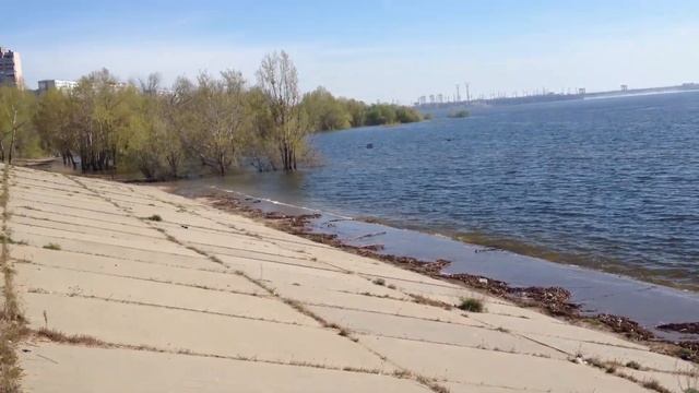 Волгоград. Спартановка. Разлив Волги 2023 год.