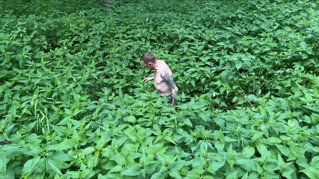 МИНИ ПОХОД СО ВКУСОМ КРАПИВЫ смотреть онлайн