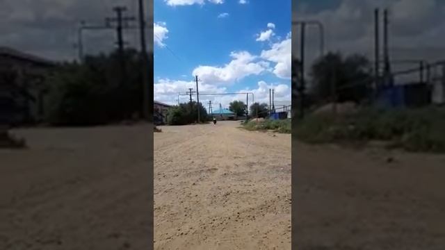 Honda cbr 1000 F2 custom