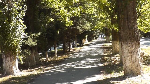 Волгодонск-2018. Улица Ленина. смотреть онлайн