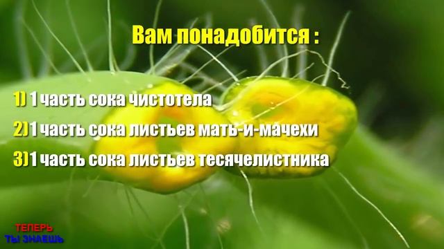 УНИКАЛЬНЫЙ Рецепт “ТРАВЯНОГО ЙОДА” ! Снимает БОЛЬ От УКУСОВ Насекомых и БЫСТРО Заживляет РАНЫ ! смотреть онлайн
