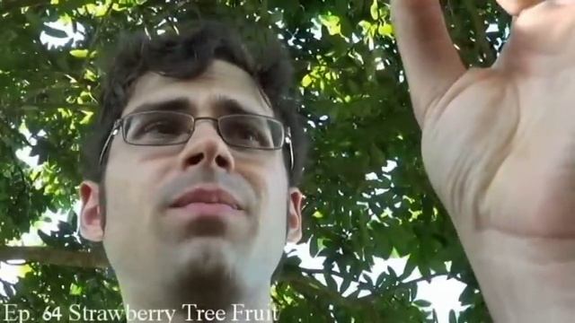 Top 10 Most Delicious Fruits - Weird Fruit Explorer Ep. 102 смотреть онлайн