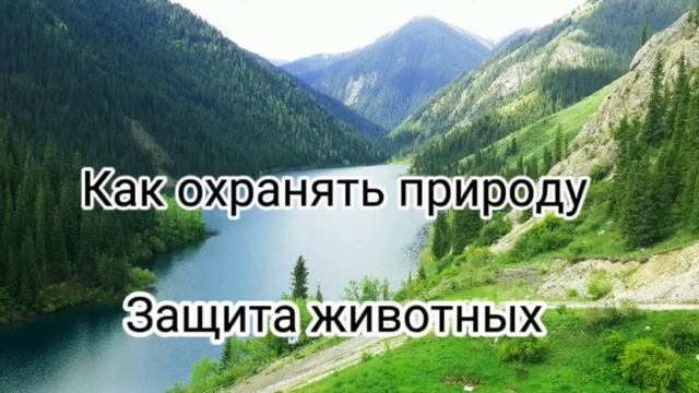Защита природы #краснаякнига