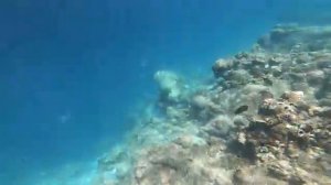 Snorkeling in Indian Ocean at Sun Siyam Olhuveli, Maldives (2/3)