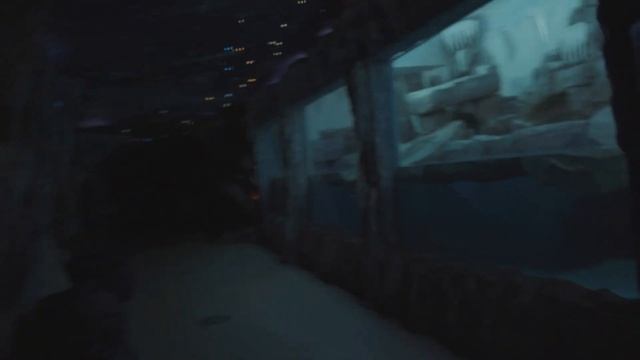 ВЛОГ !!! Покупка sony a7s ii и поездка в москву смотреть онлайн