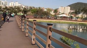 Куда пойти с ребенком в Пусане?Весеннее цветение