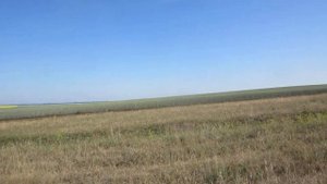 Село Шубенка, Алтайский простор...