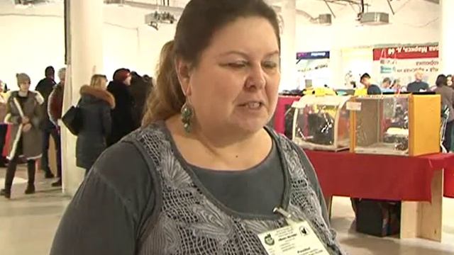 В Курске прошла Международная выставка кошек «Кубок Черноземья» смотреть онлайн