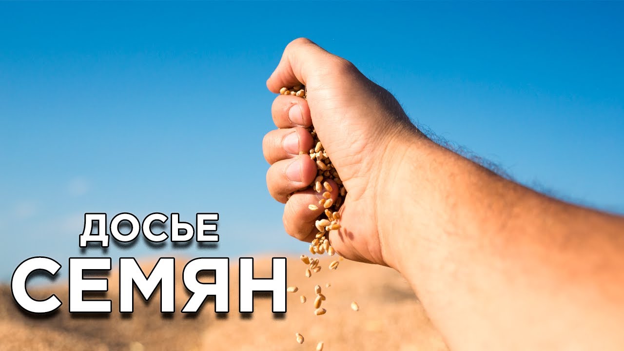 Что это за растение? Опознаем семена! смотреть онлайн