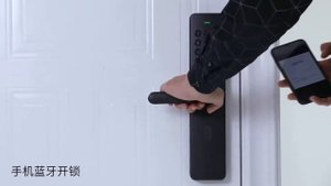 Умный дверной замок Xiaomi Simple smart door lock