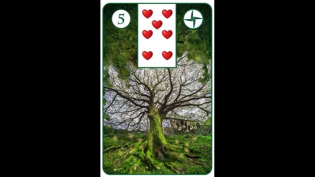 КАРТА ДЕРЕВО. 2 ЧАСТЬ. ОБУЧЕНИЕ. ОРАКУЛ м-м ЛЕНОРМАН.