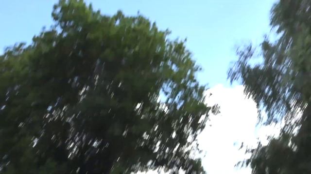 СВАДЬБА ТЮМЕНЬ/Свадьба ,,Бабочки,, смотреть онлайн