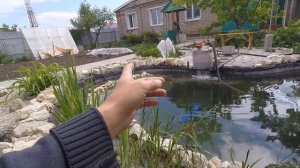 Запуск пруда дубль 2. Наполняю водой, фильтация, посадка растений в биоплато (Май 2019)