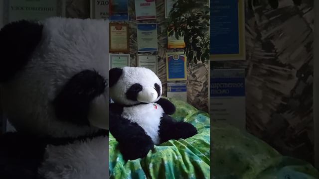 Преждевременная эякуляция