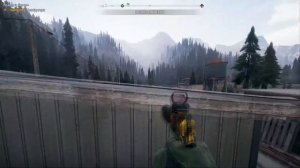 far cry 5 спасаем медведя