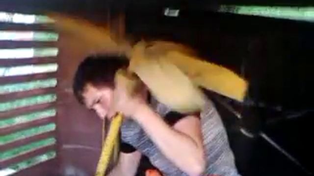 мотор ЗИФ смотреть онлайн