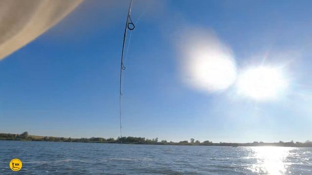 Тейл Спиннер и в этом пруду поймал ЩУКУ. Безотказная приманка HURRICANE смотреть онлайн