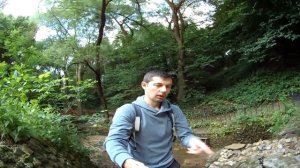 КАМНИ ЖЕЛАНИЙ. ГОЛОСОВ ОВРАГ В КОЛОМЕНСКОМ #Коломенское #Голосов_овраг #гусь-камень #девичий_камень