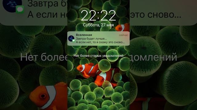 Вам сообщение