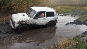 Стоковая нива на бездорожье