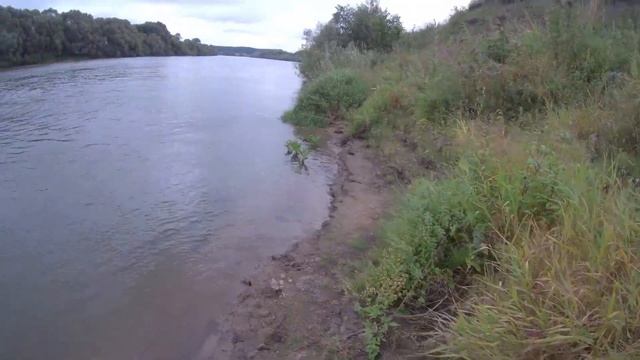 Ловля щуки и налима на живца, на резинки, донки, поставуши. На что лучше ловить? Рыбалка на Оке. смотреть онлайн