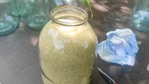 Долгосрочный запас каш в 3 л банке, оригинальный способ хранения для выживания, хранение 10 лет