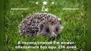 Экологическая кругосветка!!!!!