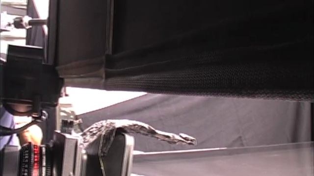 Porsche Design The Essence, 2007 смотреть онлайн