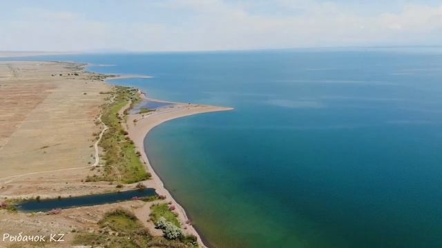 ЛЕС НА КАПЧАГАЕ,ОБЗОР POWER BANK "CONPEX" И ПАЛАТКИ QUECHUA 3-МЕСТНАЯ 2 SECONDS FRESH & BLACK смотреть онлайн