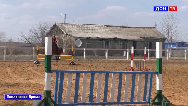 Открытое первенство по конкуру 2019. г. Павловск Воронежской обл. смотреть онлайн